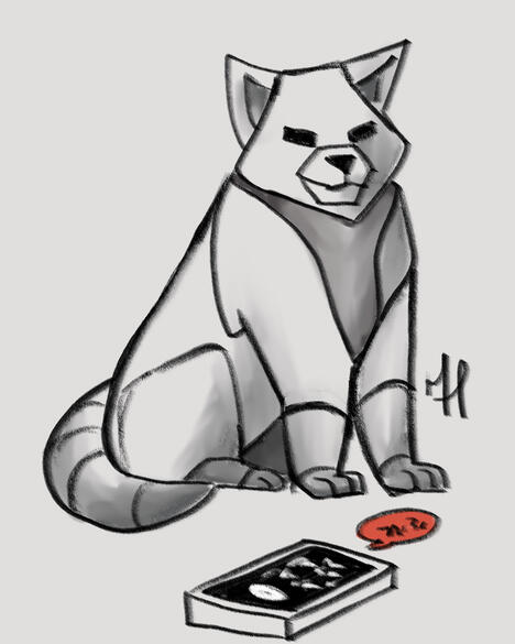Day 12- Remote