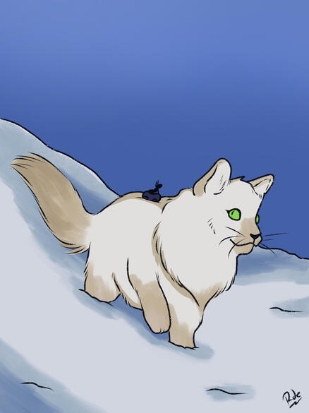 Day 24- Expedition